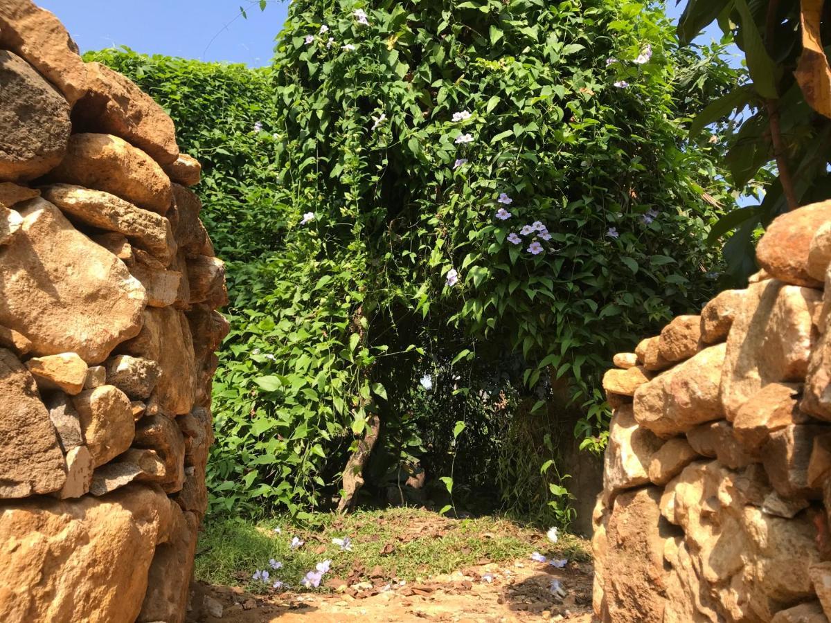 Earth House Sri Lanka Villa Neboda Eksteriør billede