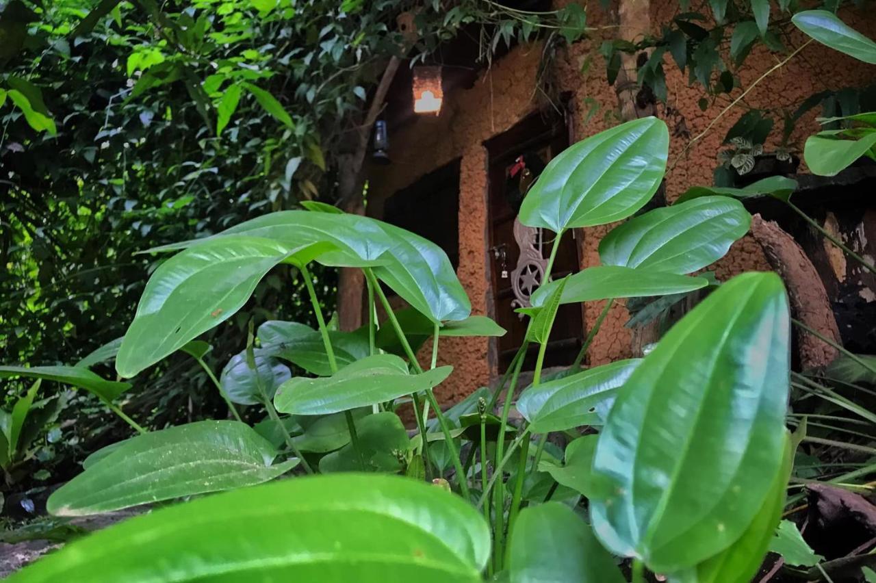 Earth House Sri Lanka Villa Neboda Eksteriør billede