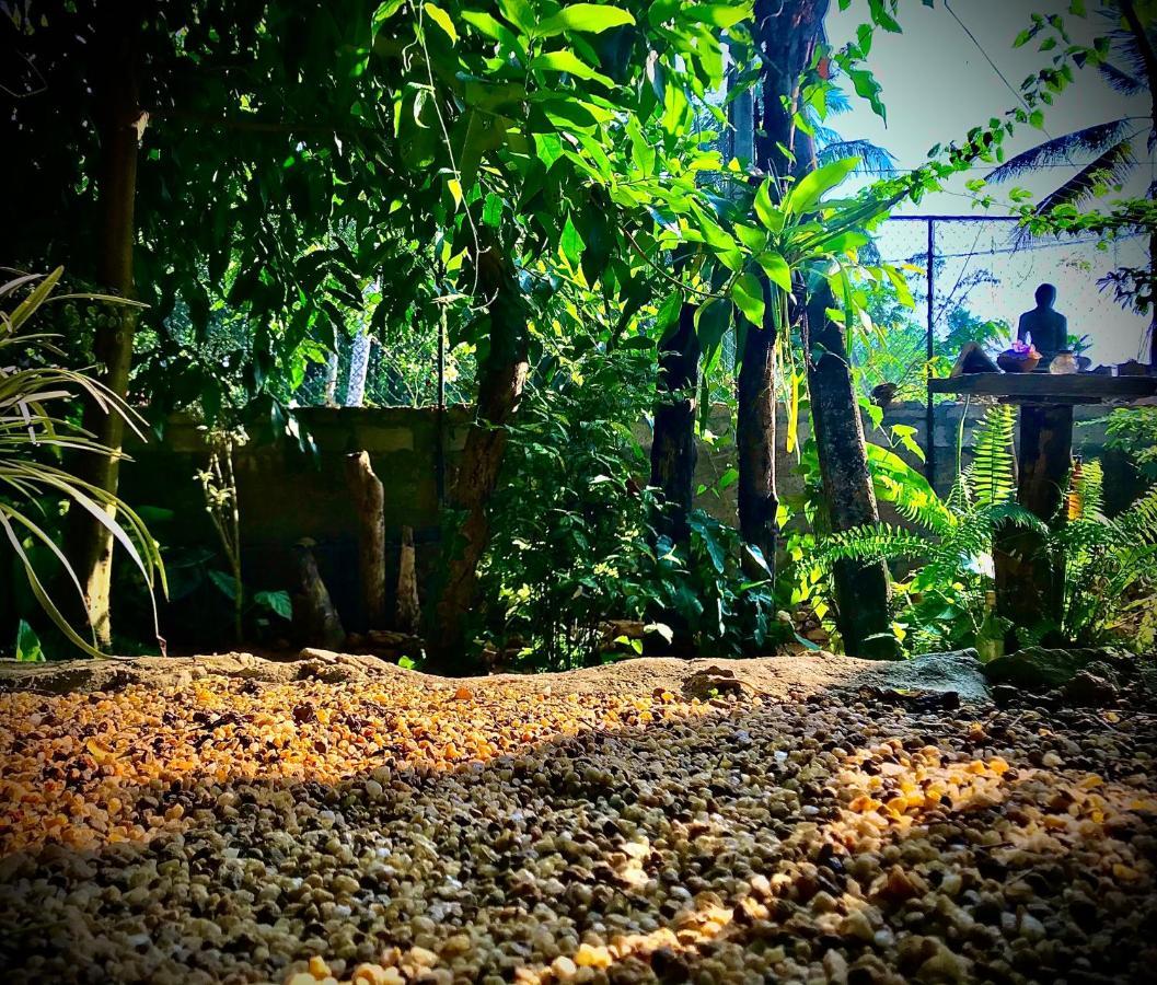 Earth House Sri Lanka Villa Neboda Eksteriør billede