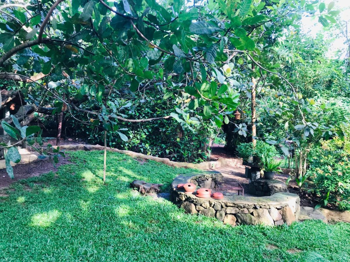 Earth House Sri Lanka Villa Neboda Eksteriør billede
