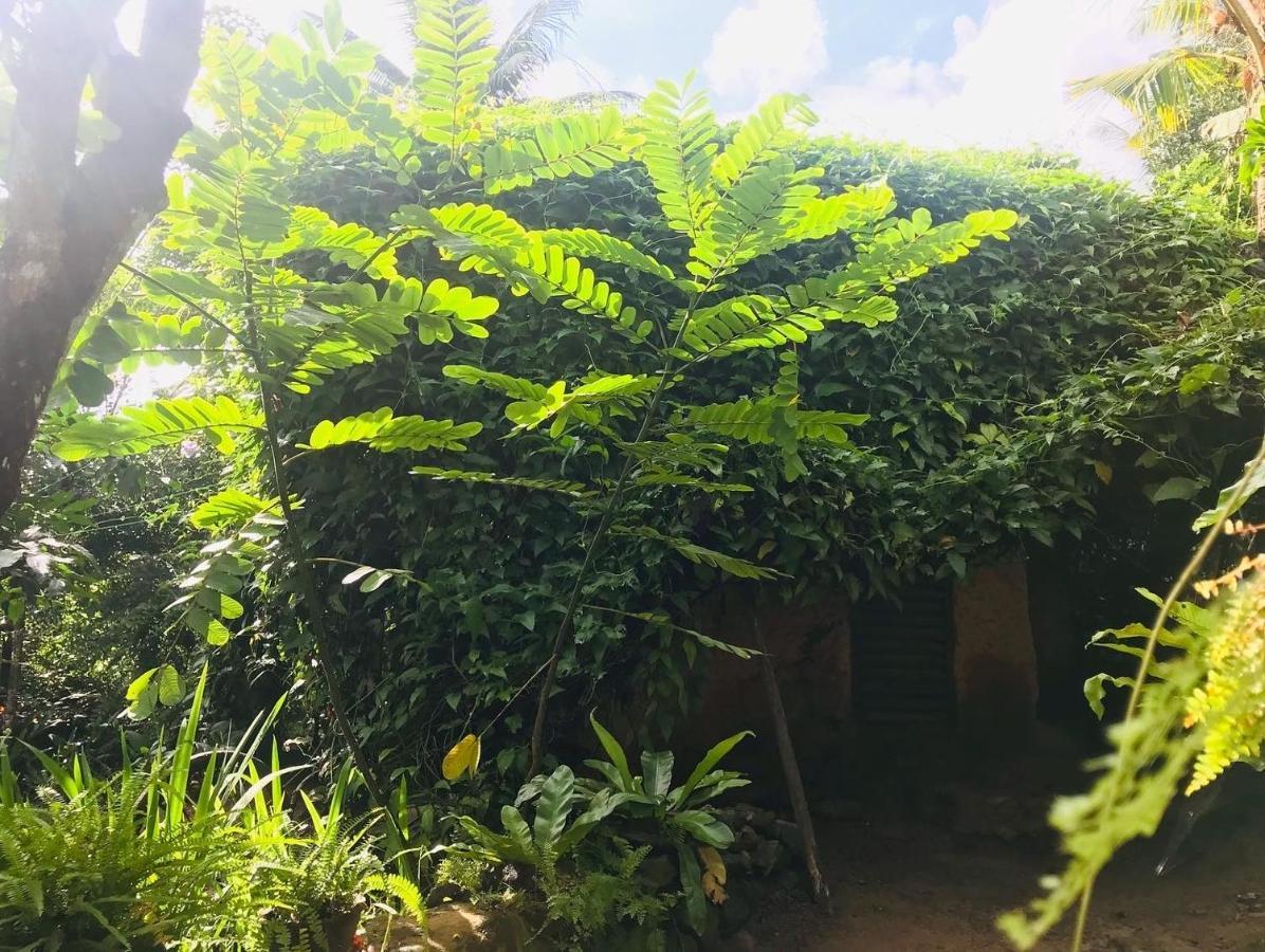 Earth House Sri Lanka Villa Neboda Eksteriør billede